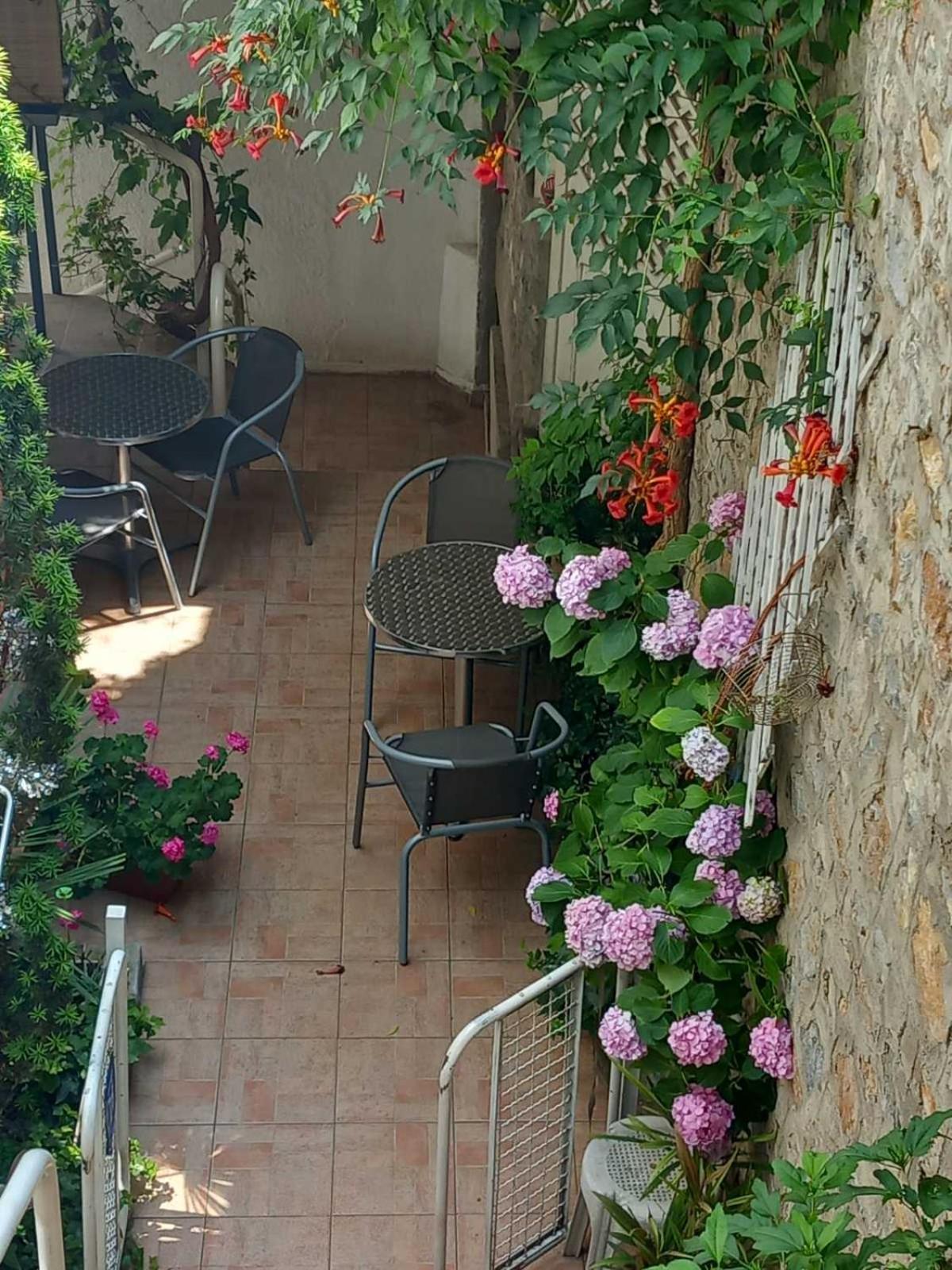 Vila Kosta City Center Port Ohrid Kültér fotó